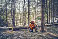 Бензопила Husqvarna 562 XP