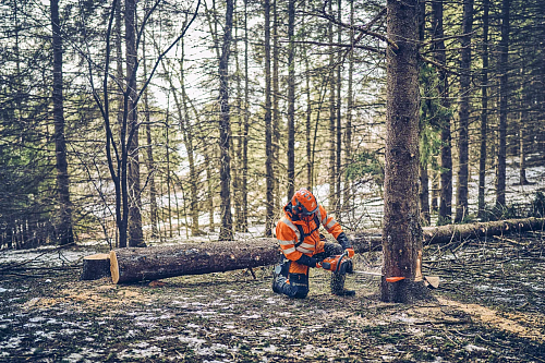 Бензопила Husqvarna 562 XP